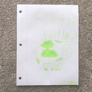 A picture of a turtle